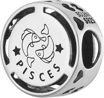 Pisces Zodiac Sign Bead Charm