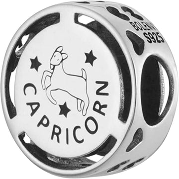 Capricorn Zodiac Sign Bead Charm