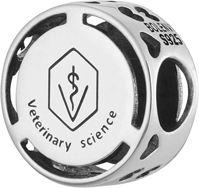 Veterinary Science Veterinarian Vet Bead Charm